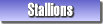 Stallions at stud