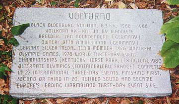 Volturno's grave stone